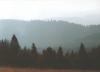 nizketatry28